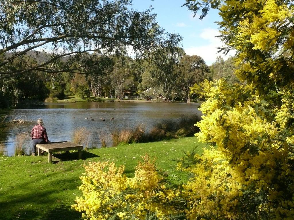 The Burrow At Wombat Bend Villa Dixons Creek Cameră foto