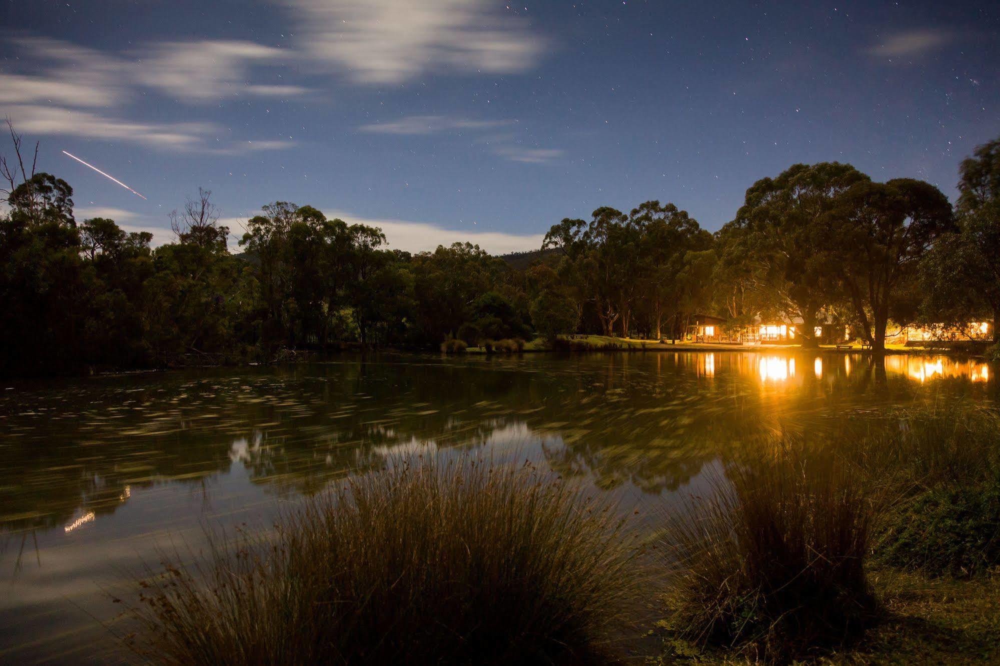 The Burrow At Wombat Bend Villa Dixons Creek Exterior foto