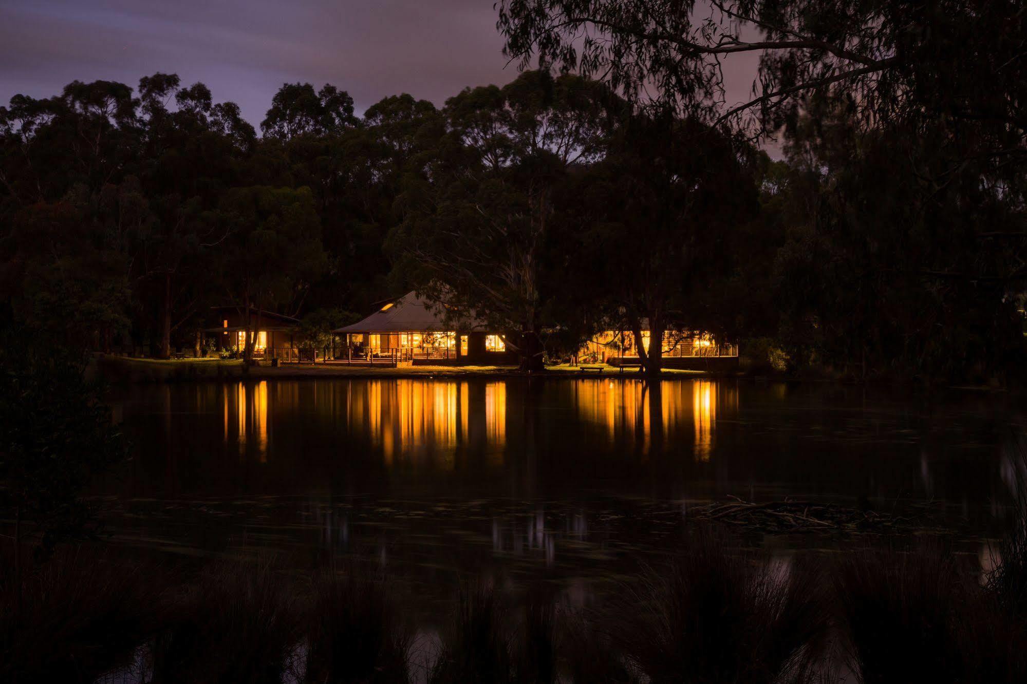 The Burrow At Wombat Bend Villa Dixons Creek Exterior foto