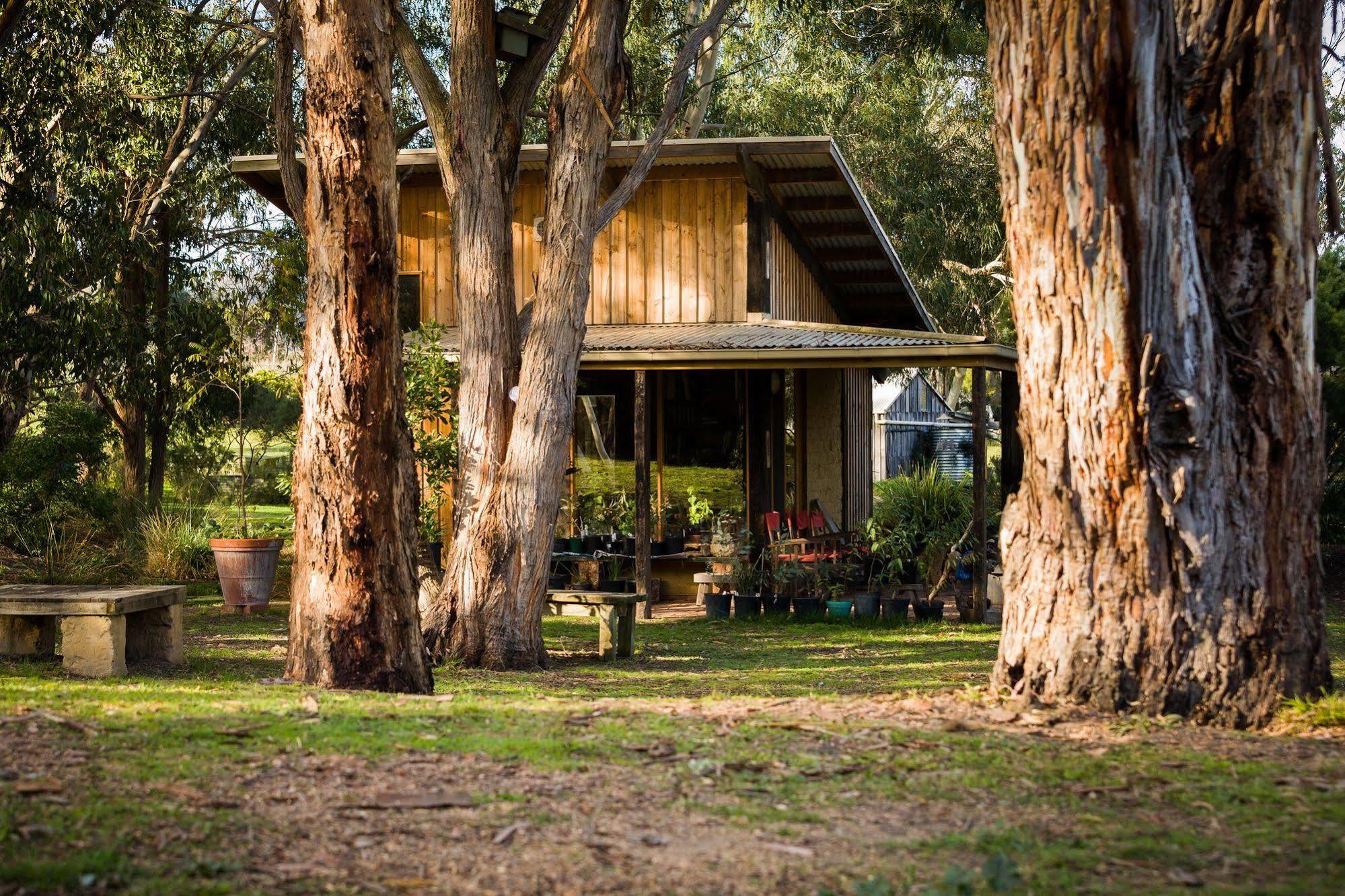 The Burrow At Wombat Bend Villa Dixons Creek Exterior foto