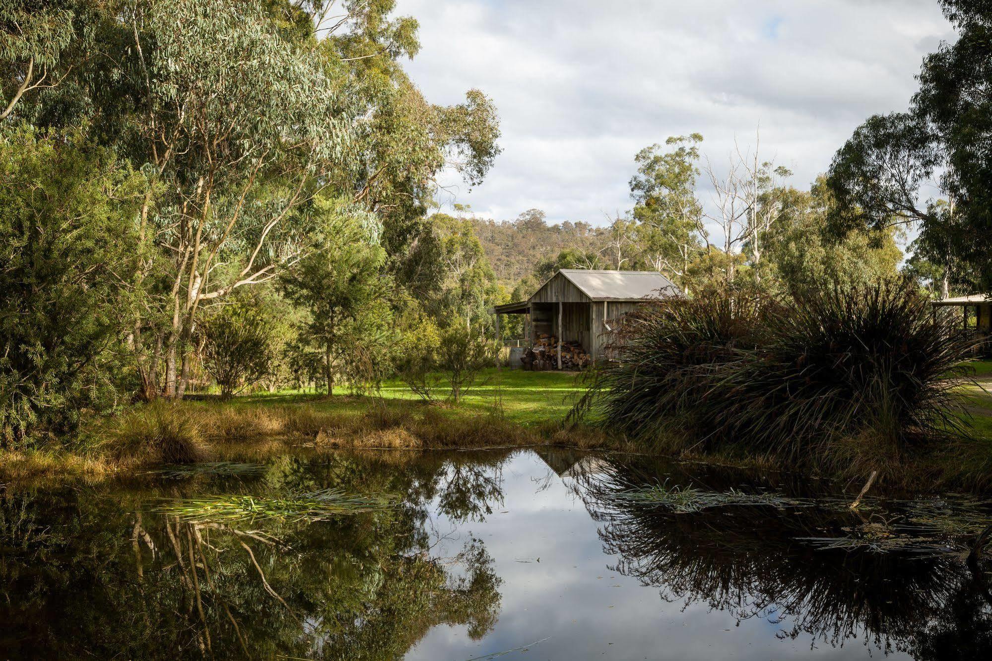 The Burrow At Wombat Bend Villa Dixons Creek Exterior foto