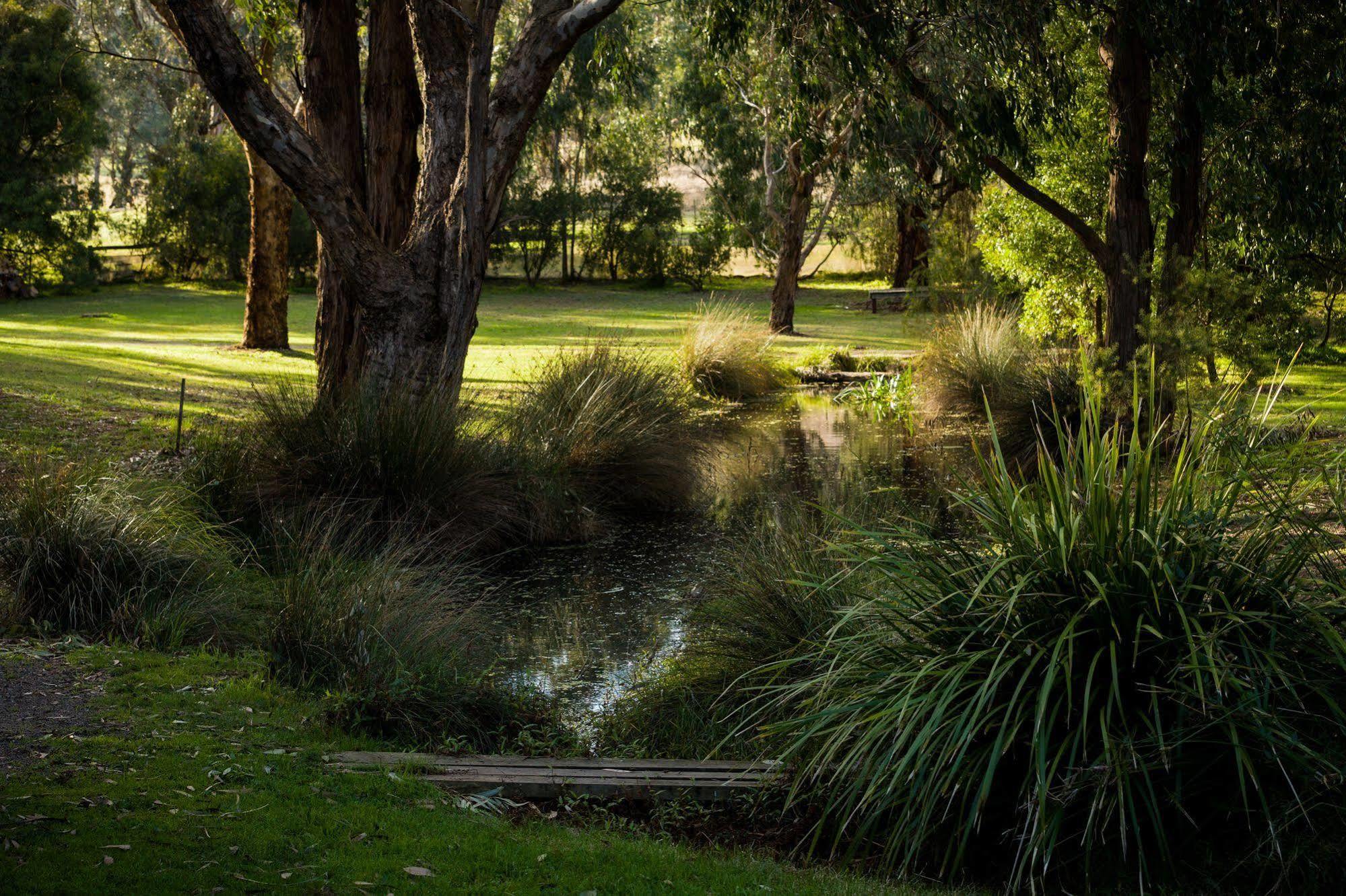 The Burrow At Wombat Bend Villa Dixons Creek Exterior foto
