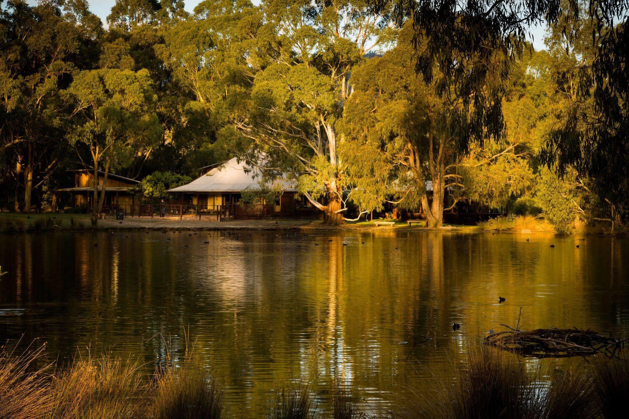 The Burrow At Wombat Bend Villa Dixons Creek Exterior foto